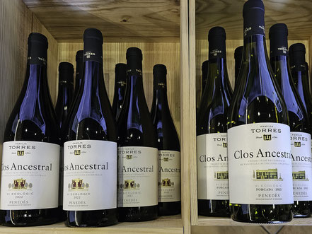 Bild: Weine im Verkauf im Weingut Torres in Vilafranca del Penedès