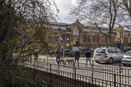 Bild: Markthalle in Colmar