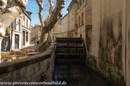 Bild: in der Rue des Teinturiers in Avignon