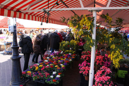 Bild: am Marché aux Fleurs in Nice (Nizza)