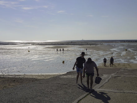 Bild: Muschelsammler in Gouville-sur-Mer 