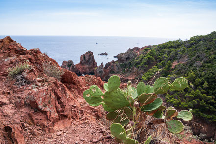 Bild: Cap Dramont, Massif de l´Estérel 