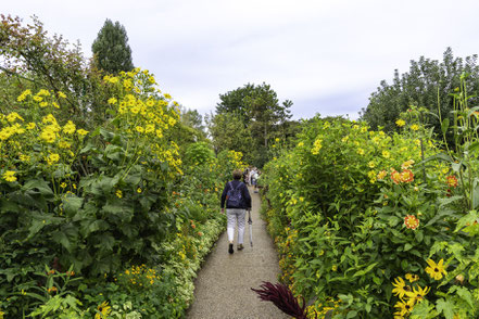 Bild: Im Blumengarten von Claude Monet in Giverny 