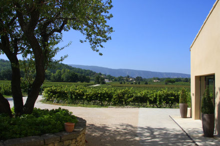 Bild: Domaine la Garelle, Oppède 