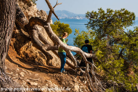 Bild: Wanderung an der Côte Bleue 