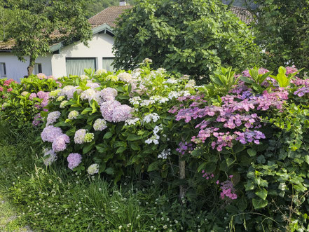 Bild: Baskisches Haus in Itxassou
