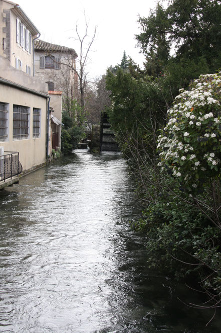 Bild: Wasserrad in Fontaine de Vaucluse