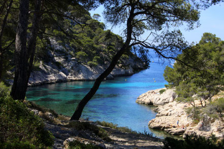 Bild: Calanque de Port Pin