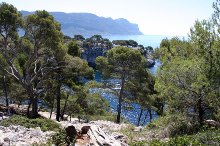 Bild: Wanderung zur Calanque de Port Pin