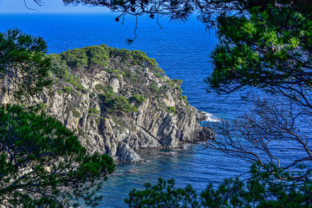 Bild: Île de Porquerolles 