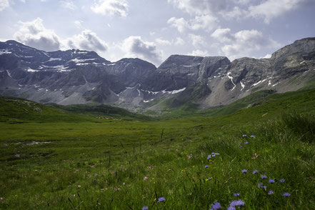 Bild: Flora bei einer Wanderung im oberen Teil des Cirque de Troumouse