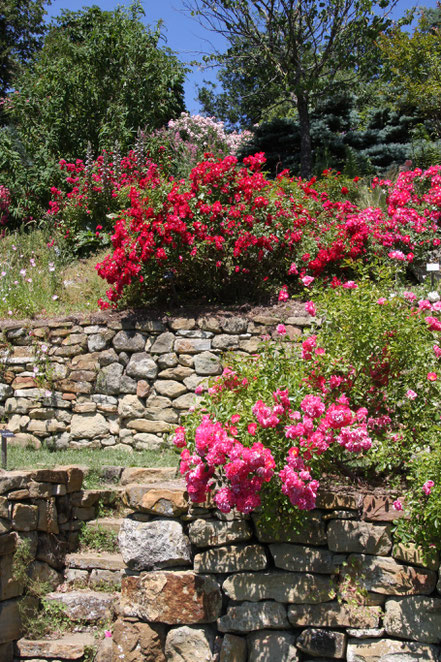 Bild: Jardin de l´Abbaye de Valsaintes, Simiane-la-Rotonde