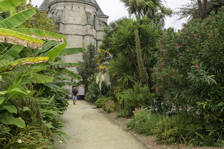 Bild: Botanischer Garten in Quimper 