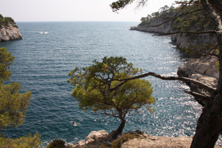 Bild: Wanderung in der Calanque de Port Mio