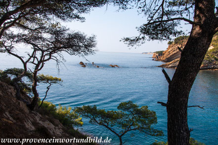 Bild: Wanderung an der Côte Bleue 