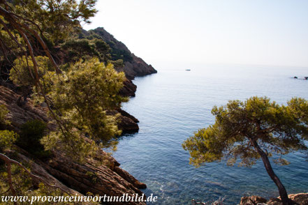 Bild: Wanderung an der Côte Bleue 