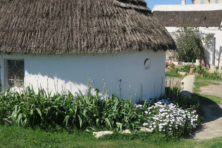 Bild: Camargue-Haus in Saintes-Maries-de-la-Mer