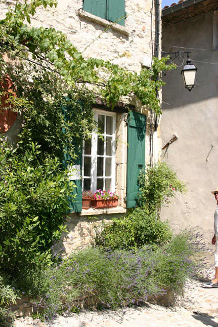 Bild: Fenster in der Provence