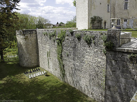Bild: Château Brisson in Saint Brisson-sur-Loire  