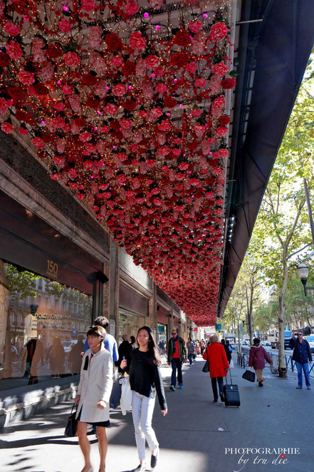 Bild: Boulevard Hausmann vor dem Printemps in Paris, Frankreich