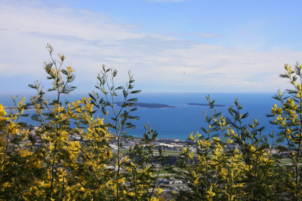 Bild: Blick aus dem Tannerongebirge auf das Meer