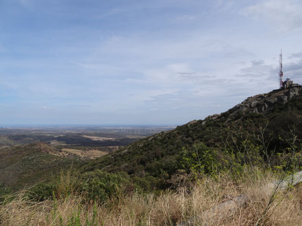 Blick ins Umfeld