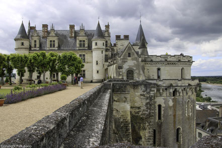 Bild: Im Schlosspark des Château d´Amboise