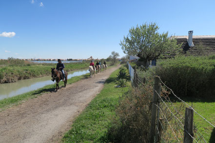 Bild: Reitausflug in Camargue bei Saintes-Maries-de-la-Mer