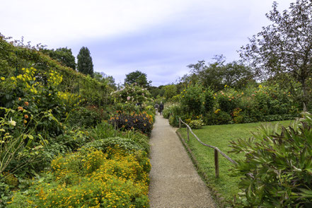 Bild: Im Blumengarten von Claude Monet in Giverny 