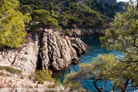 Bild: Wanderung an der Côte Bleue 