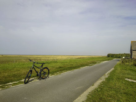 Bild: Auf dem Fahrradweg bei Cherrueix