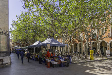 Bild: Kleiner Markt am Plaça de la Vila in Vilafranca del Penedès
