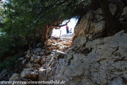 Bild: Wanderung bei Callelongue zur Calanque Marseilleveyre 