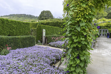 Bild: Vorgarten des Musée des impressionnismes Giverny