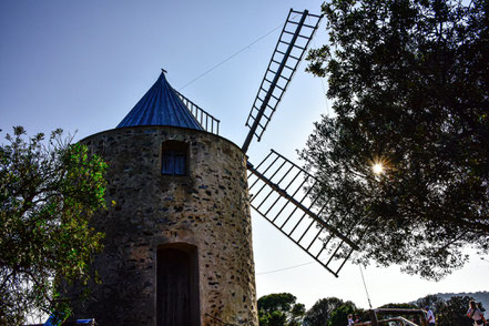 Bild: Le Moulin du Bonheur, Île de Porquerolles