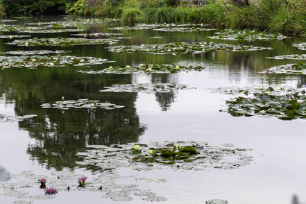 Bild: Wohnmobilreise Normandie, hier Maison de Claude Monet 