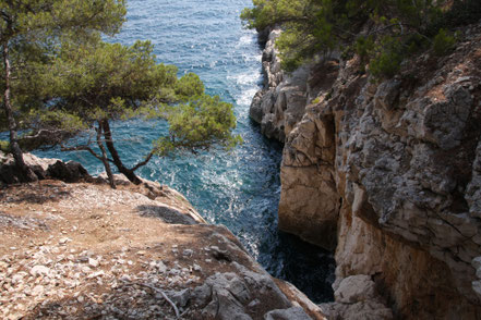 Bild: Wanderung in der Calanque de Port Miou