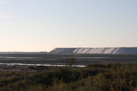 Bild: Salzgewinnung bei Salin-de-Giraud