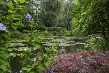 Bild: Der Seerosenteich von Claude Monet in Givery