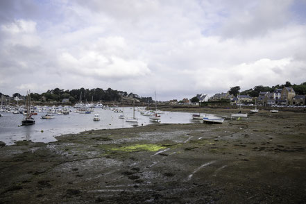 Bild: Sentier des Douaniers in Ploumanac´h 