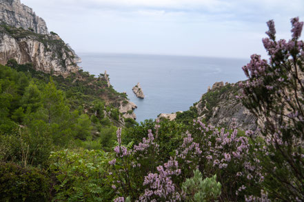 Bild: Wanderung Calanque Morgiou zur Calanque Sugiton über Col de Sugiton zurück zur Morgiou  