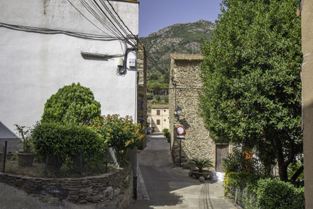 Bild: Selva de Mar mit Torre de la Placa, Katalonien in Spanien 