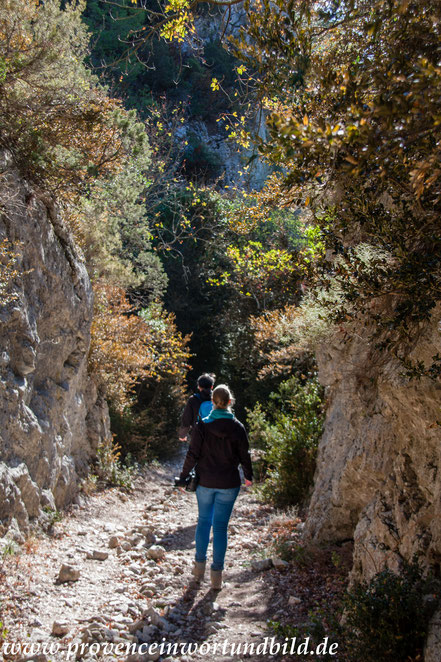 Bild: Wanderung in der Gorges de Régalon, Luberon  