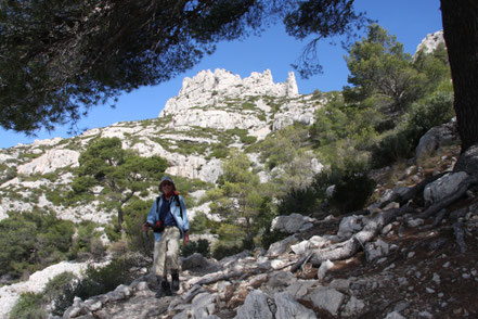 Bild: Wanderung in der Calanque de Morgiou