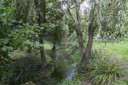 Bild: Spaziergang an der Lieure in Lyons-la-Forêt