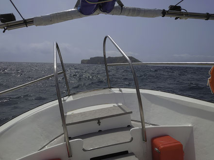 Bild: Rundfahrt mit dem Boot zu den Steilküsten bei L´Estartit im Norden und zu den Illes Medes 