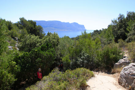 Bild: Wanderweg zur Calanque d´En Vau