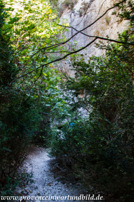 Bild: Wanderung in der Gorges de Régalon, Luberon 