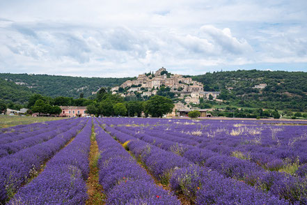 Bild: Simiane-la-Rotonde 