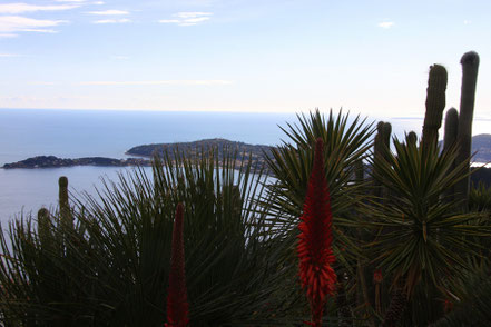 Bild: exotischer Garten in Èze